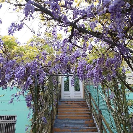 Youlin Homestay Meishan Екстер'єр фото