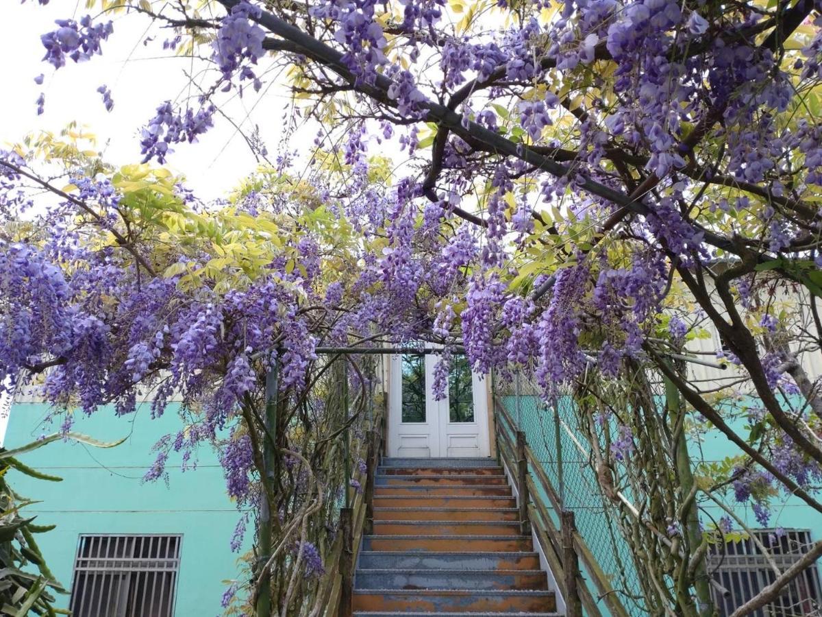 Youlin Homestay Meishan Екстер'єр фото